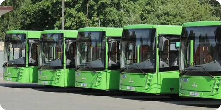 автобусы